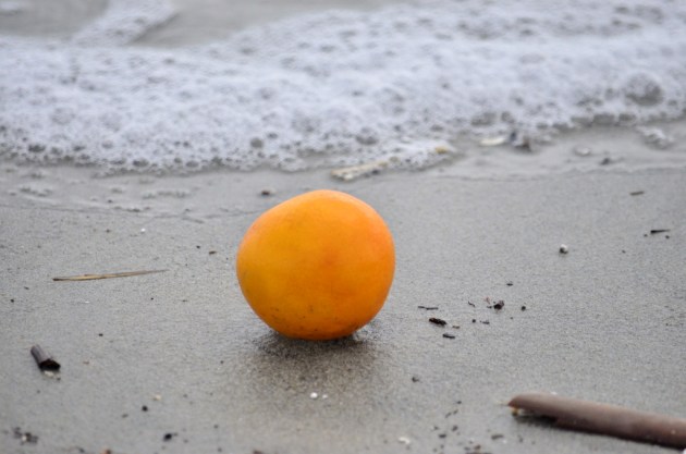 orange-on-the-sand